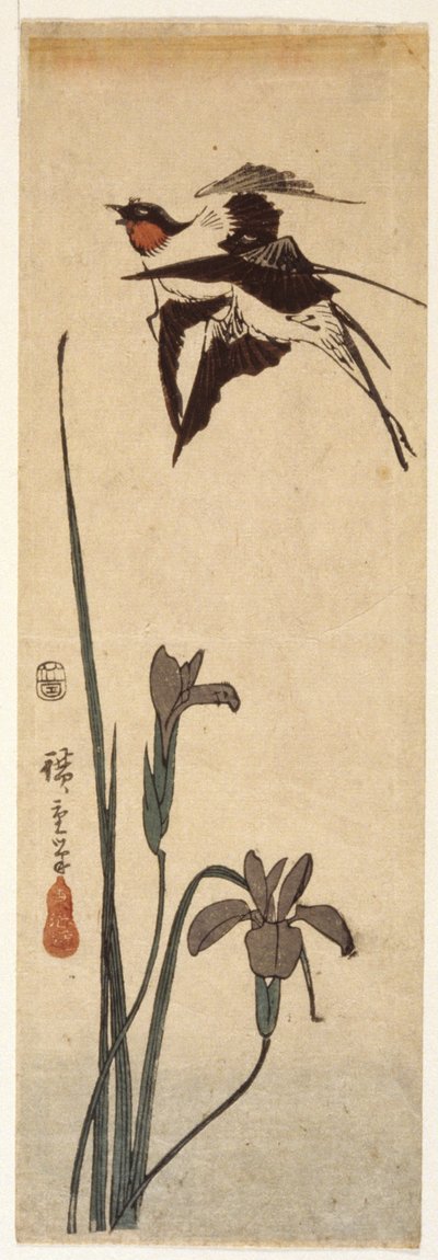 ツバメとアイリス (カラー木版画) 作： Ando or Utagawa Hiroshige