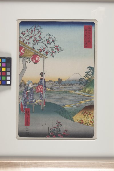 志賀屋富士見茶屋（有色木版画） 作： Ando or Utagawa Hiroshige
