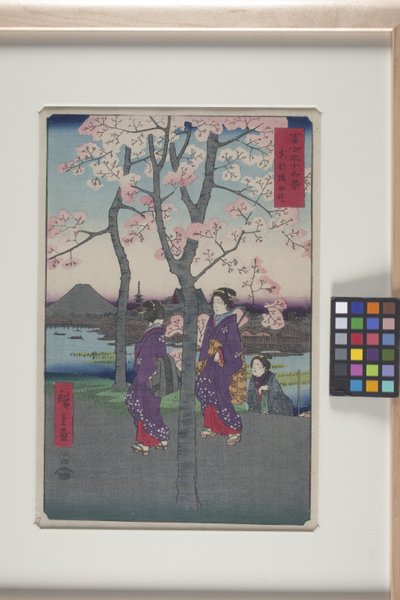 The Sumida Embankment In The Eastern Capital (T?to: Sumida Tei) (impressão em xilogravura a cores) 作： Ando or Utagawa Hiroshige