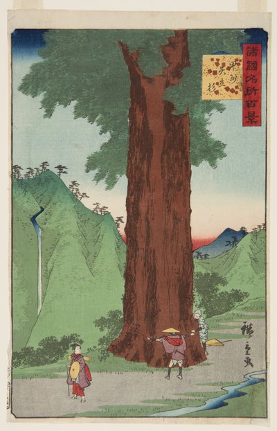 甲斐の国の矢立杉」（カラー木版画 作： Ando or Utagawa Hiroshige