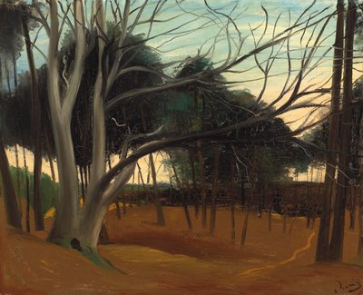 レ・ルックの下草 作： Andre Derain