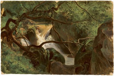 滝のある森のインテリア、パピーニョ、18251830。 作： André Giroux