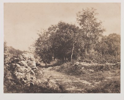 フォンテンブローの無題のシーンc。 1853年。 作： André Giroux