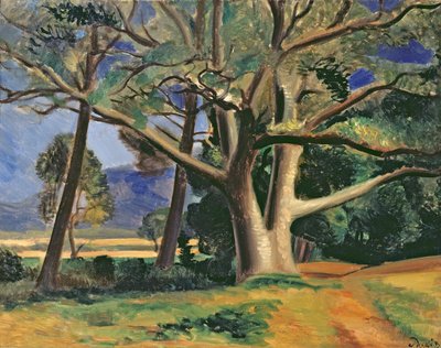 大きな木 1929-30年頃 油彩・カンヴァス （287578も参照 作： Andre Derain