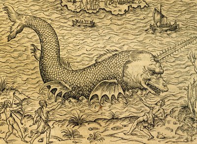 アンドレ・テヴェ（1504-1592）の『万国宇宙論』からの版画「海の怪物」、パリ 作： Andre Thevet