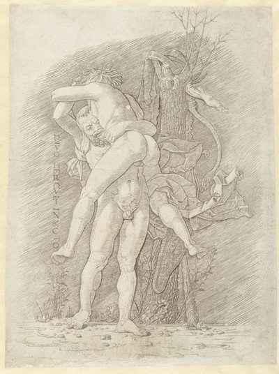 Hercules en Antaeus 無敵の神ヘラクレス (オブジェクトのタイトル) 作： Andrea Mantegna (school of)