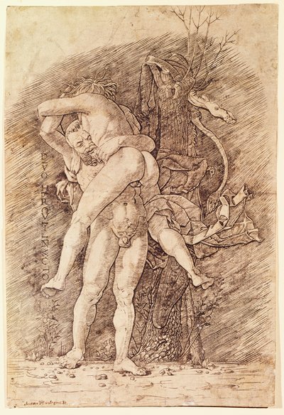 アンドレア・マンテーニャ（1431-1506）作「ヘラクレスとアンタイオス」、デッサン。 作： Andrea Mantegna