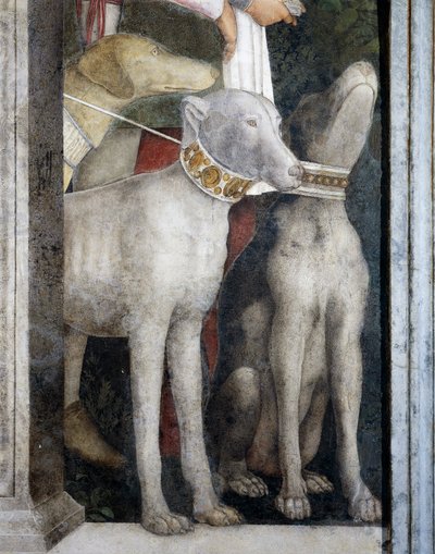 モロシアン・ドッグ、「ミーティング・ウォール」より抜粋 作： Andrea Mantegna