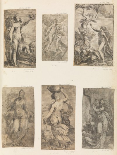 アポロとダフネ、カリフォルニア州。 1538-40 。 作： Andrea Schiavone