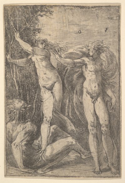 アポロとダフネ、ca。 1538-40。 作： Andrea Schiavone