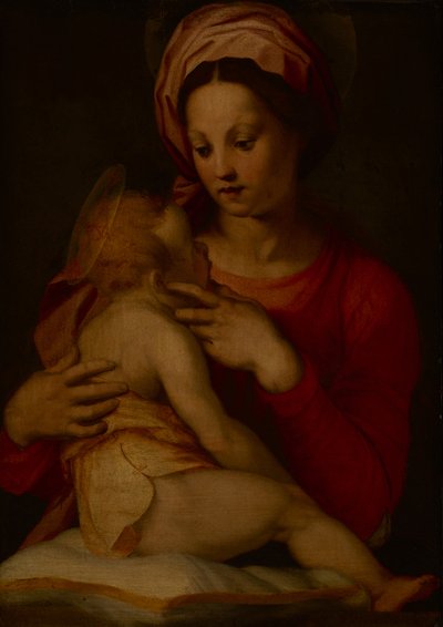 マドンナと子供（パネルに油彩） 作： Andrea del (attr.to) Sarto
