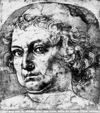 マンの頭、またはアンドレアデルヴェロッキオの肖像、1450年頃 作： Andrea del Castagno