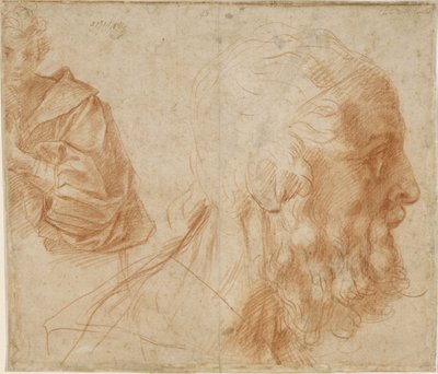 若者と老人ホーマーの頭。研究、約1521 作： Andrea del Sarto