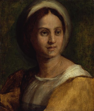  作： Andrea del Sarto
