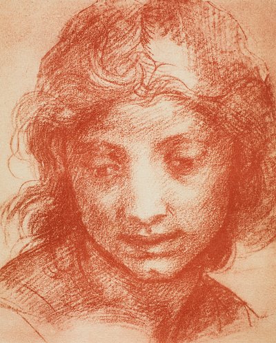 ボーイズヘッド 作： Andrea del Sarto