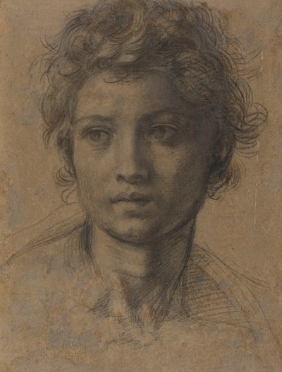 洗礼者聖ヨハネの頭 作： Andrea del Sarto