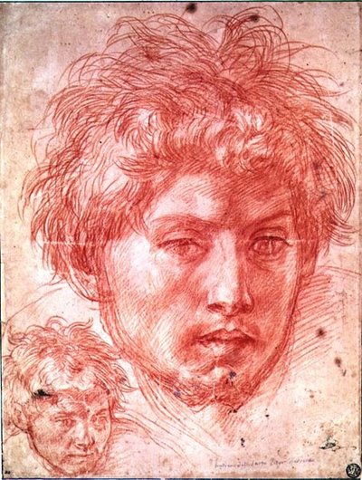男の頭」（紙に赤チョーク） 作： Andrea del Sarto
