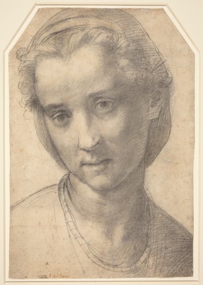  作： Andrea del Sarto