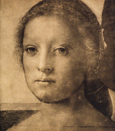 アンドレア・デル・サルトが描いた若い女性の頭。内閣描画と版画、ウフィツィ美術館、フィレンツェ 作： Andrea del Sarto