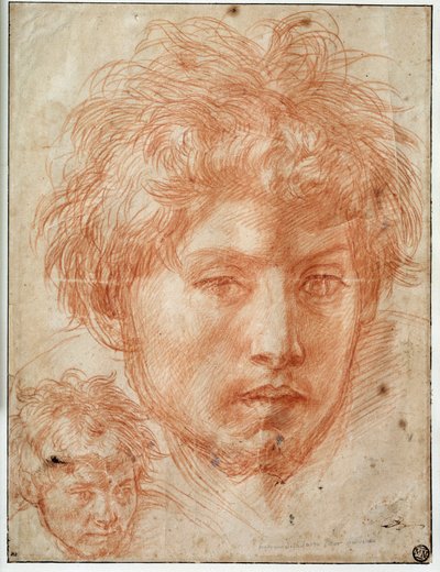 男性の頭部 アンドレア・デル・サルト（1486-1531）の三国志を描く 16世紀 日0.33x0.25 m パリ、ルーヴル美術館 作： Andrea del Sarto