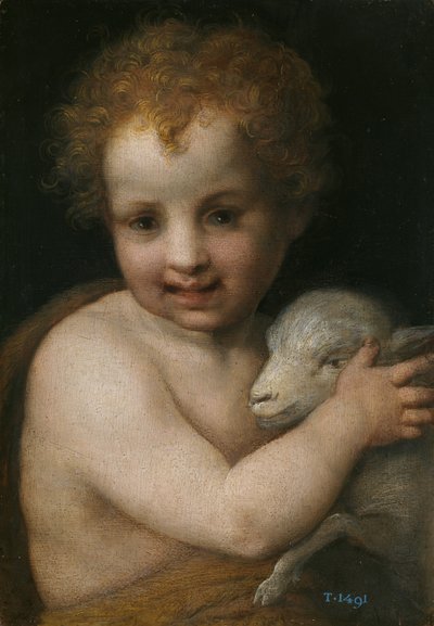 子供の頃の洗礼者ヨハネ 作： Andrea del Sarto