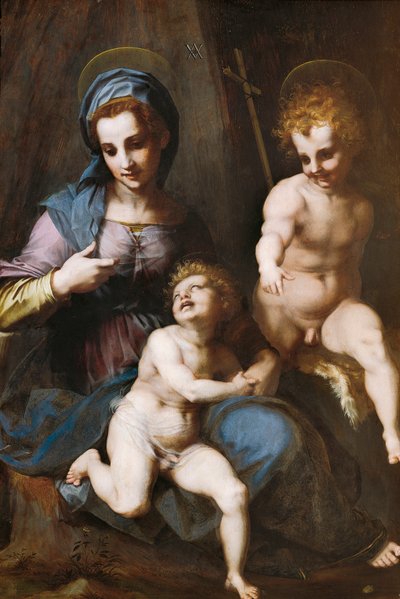 マドンナと子供と幼児の洗礼者ヨハネ 作： Andrea del Sarto