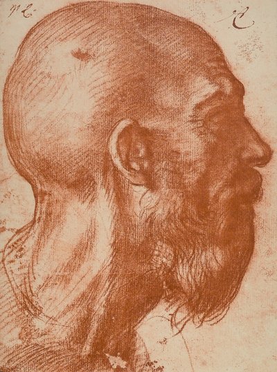 マンヘッド 作： Andrea del Sarto