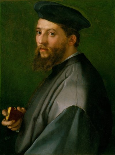 男の肖像、1528-30年。 作： Andrea del Sarto