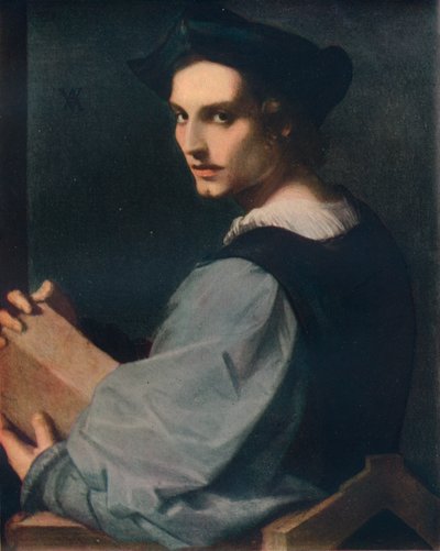 若い男の肖像、c1517、1911 作： Andrea del Sarto