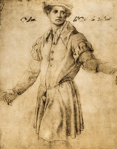 若いフィレンツェの肖像画 作： Andrea del Sarto