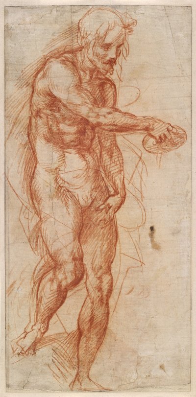 セントジョンザバプティスト研究、1518年頃 作： Andrea del Sarto