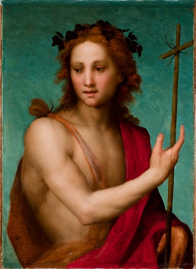 洗礼者聖ヨハネ、1517年頃（パネルの油彩をキャンバスに転写） 作： Andrea del Sarto
