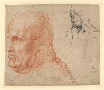  作： Andrea del Sarto