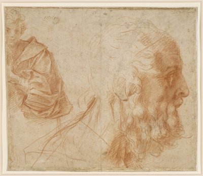  作： Andrea del Sarto