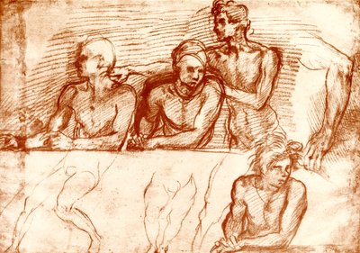 最後の晩餐の研究 作： Andrea del Sarto