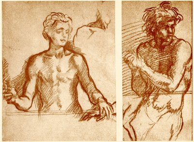 キリストの姿に関する研究 作： Andrea del Sarto