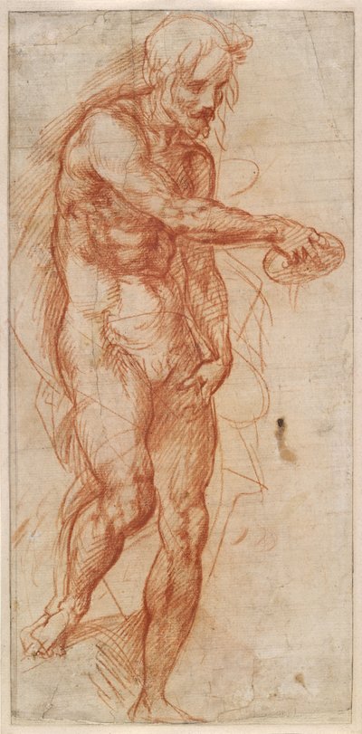  作： Andrea del Sarto