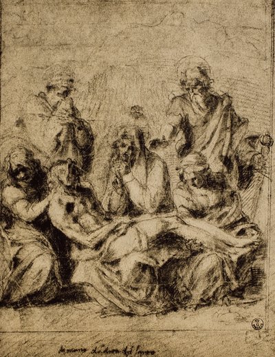 アンドレア・デル・サルトによるデポジションの研究。内閣描画と版画、ウフィツィ美術館、フィレンツェ 作： Andrea del Sarto
