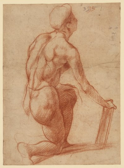  作： Andrea del Sarto