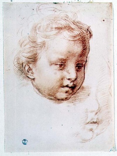 子供の頭の習作（紙にチョーク） 作： Andrea del Sarto