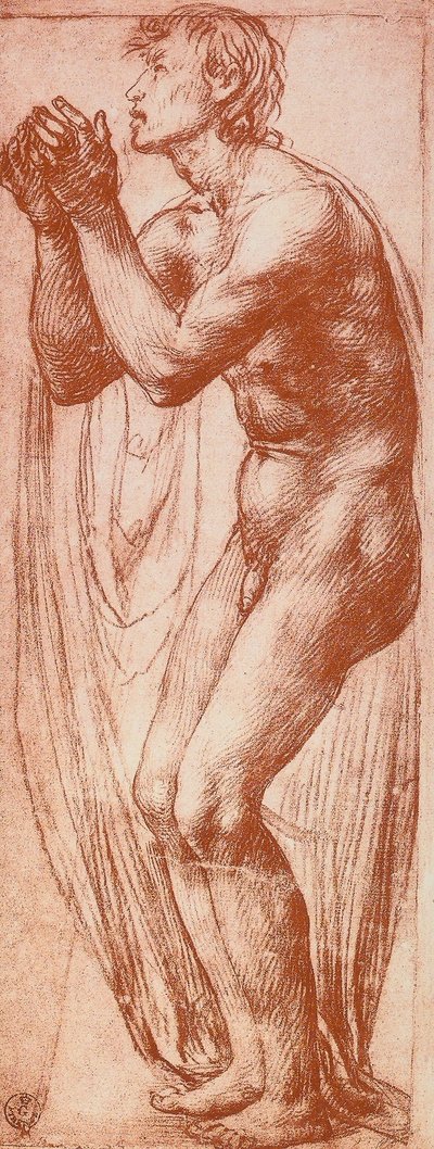 男性像の研究;アンドレア・デル・サルトの絵。内閣描画と版画、ウフィツィ美術館、フィレンツェ 作： Andrea del Sarto