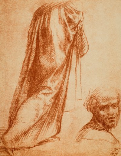 カーテンと男性の肖像画の研究;アンドレア・デル・サルトの絵。内閣描画と版画、ウフィツィ美術館、フィレンツェ 作： Andrea del Sarto