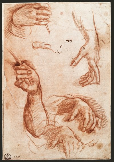 "Study of hands" ドローイング木炭(チャコール) 作： Andrea del Sarto