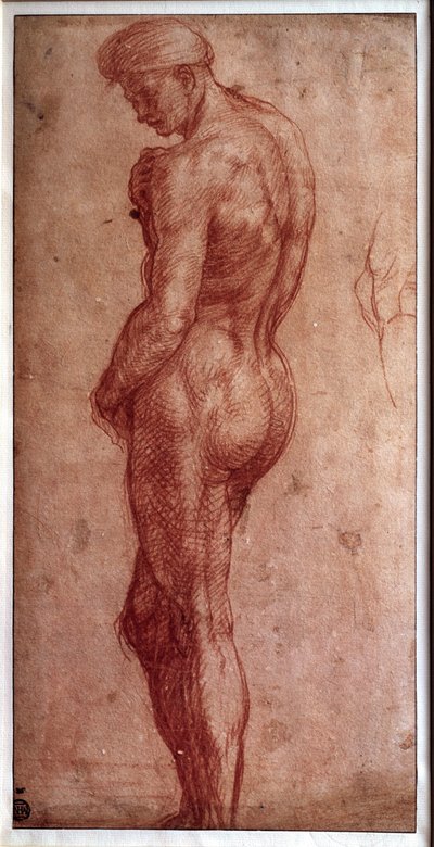 アンドレア・デル・サルト(1480-1530)の「男性裸体の習作」。16世紀パリ、ルーヴル美術館 作： Andrea del Sarto
