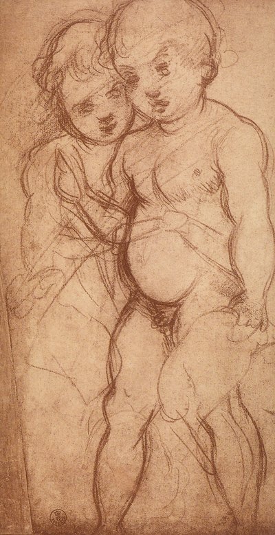 2つのケルビムの研究。アンドレア・デル・サルトの絵。内閣描画と版画、ウフィツィ美術館、フィレンツェ 作： Andrea del Sarto