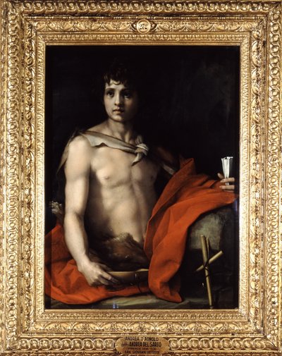 不明な画像 作： Andrea del Sarto