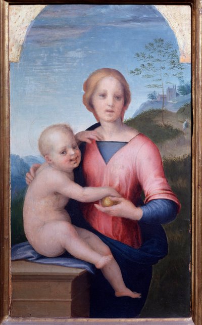 子連れの聖母（絵画 作： Andrea del Sarto