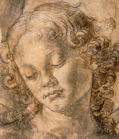 天使の頭 作： Andrea del Verrocchio