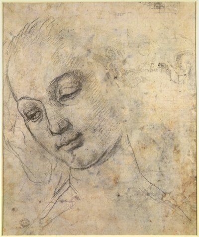 女性の頭の肖像画（紙に黒いチョーク） 作： Andrea del Verrocchio
