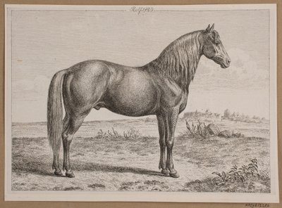 ロルフ。 野原の馬 作： Andreas Peter Madsen